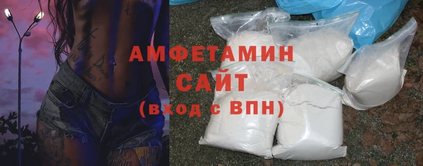стафф Ельня