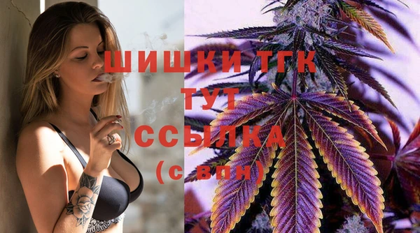 стафф Ельня