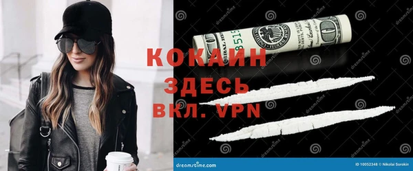 стафф Ельня