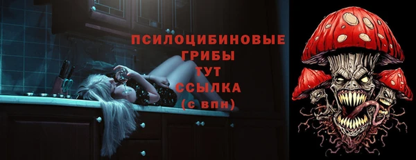 стафф Ельня