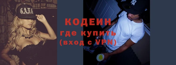 стафф Ельня