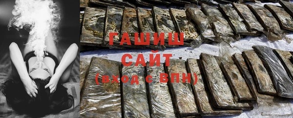 стафф Ельня