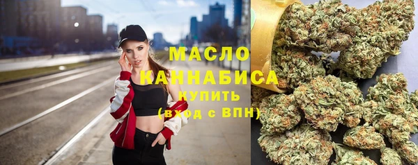 стафф Ельня