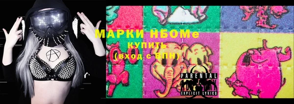 стафф Ельня
