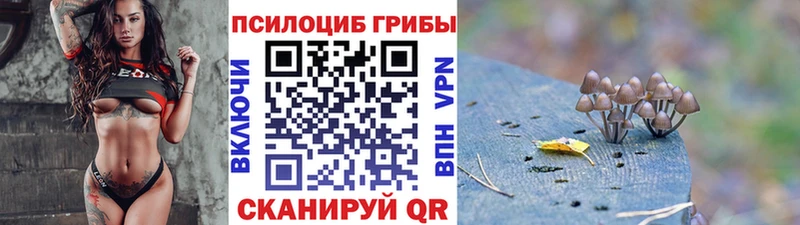 Галлюциногенные грибы прущие грибы Ипатово