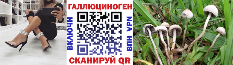 Галлюциногенные грибы Magic Shrooms  Купить где  Ипатово 